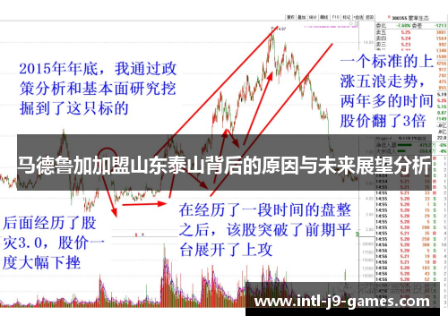 马德鲁加加盟山东泰山背后的原因与未来展望分析 马德鲁加加盟山东泰山背后的原因与未来展望分析